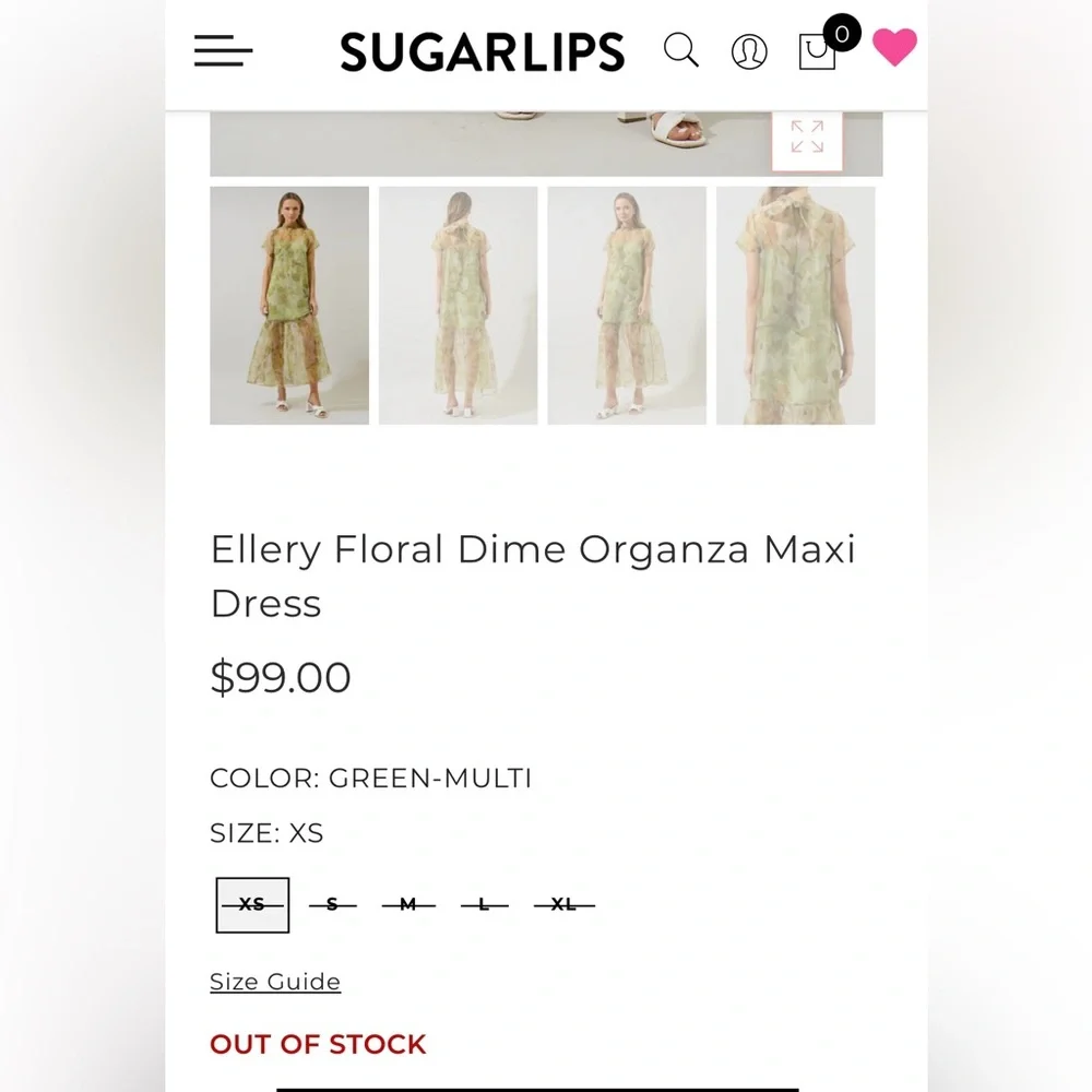NWT Sugarlips Ellery Floral Dime Organza Maxi Dress - Picture 4 of 4